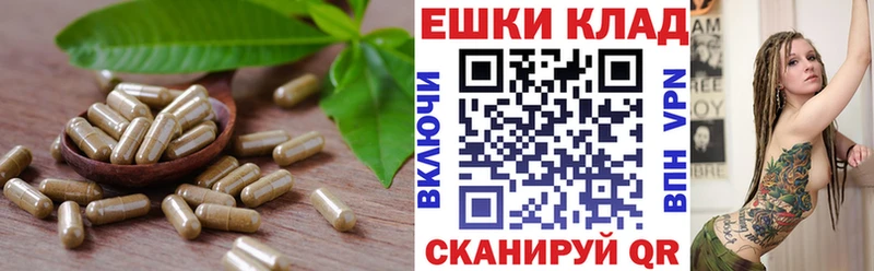 цены   блэк спрут ТОР  ЭКСТАЗИ VHQ  Бологое 